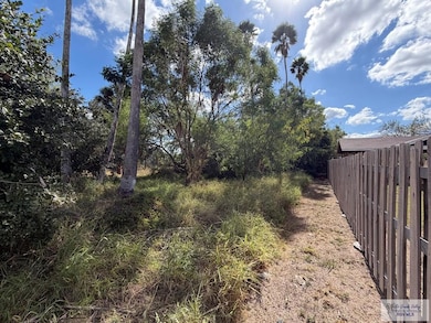 00 Botts Ave, Harlingen, TX 78552 - photo 4