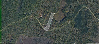 1113 Silver Lake Rd, Dingmans Ferry, PA 18328 - photo 2