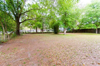 back yard 3