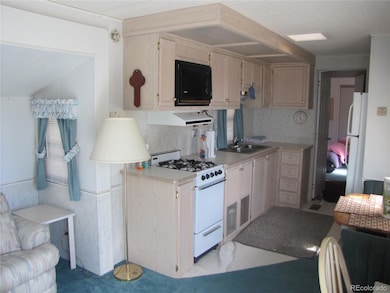 234 & 224 Lantern Loop unit 300 & 301, Hartsel, CO 80449 - photo 5