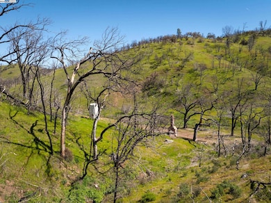 15676 W Corral Hollow Rd, Tracy, CA 95304 - photo 5