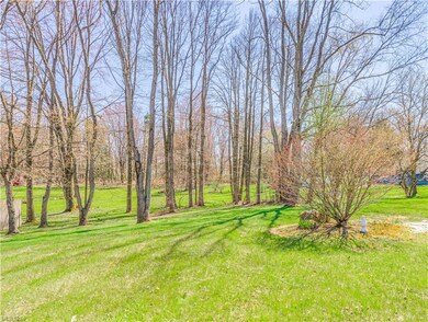 Treed Lot