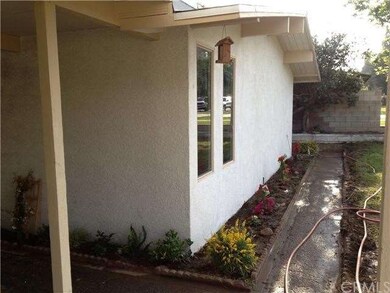 New bougainvillea, Sweet Broom and Zinnias planted