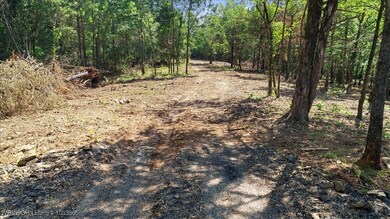 LOT 4 Walker Mountain Rd, Heavener, OK 74937 - photo 7
