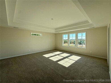 4059 Blue Springs (Lot 12) Rd, Red Springs, NC 28377 - photo 6