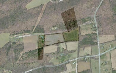 175 Shady Maple Ln, Kunkletown, PA 18058 - photo 2