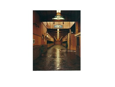 Carousel Image