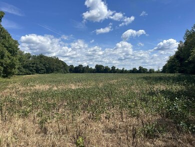 0 V/L Michigan 66, Athens, MI 49011 - photo 6