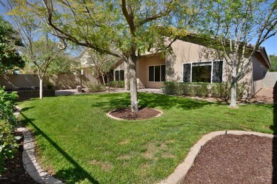 Rear Yard Grass