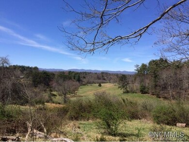 unlisted-address, Leicester, NC 28806 - photo 2