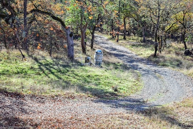 1379 Humbug Creek Rd, Jacksonville, OR 97530 - photo 6