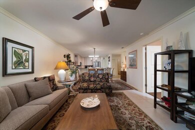 17-9002Palmetto#112_017