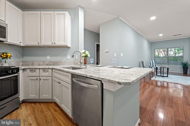 14322 Climbing Rose Way unit 102, Centreville, VA 20121 - photo 6