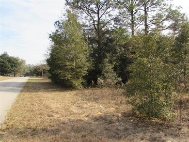 TBD SW 83rd St, Dunnellon, FL 34431 - photo 2