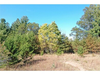 XXX Bluebird Trail Trail, Webster, WI 54893 - photo 2