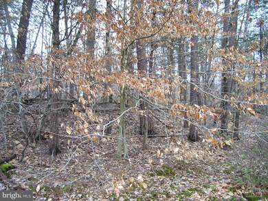 12705 Old Church Rd, Nokesville, VA 20181 - photo 5