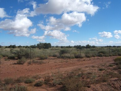 4962 N Wt Antelope 005