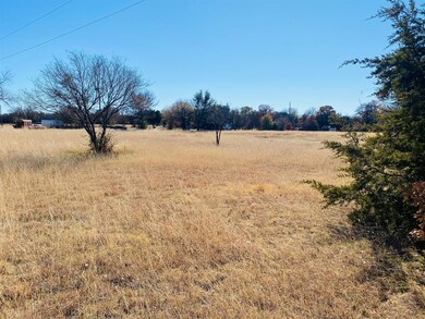 509 Hide Away Ln, Weatherford, TX 76088 - photo 3