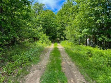IMG_2925