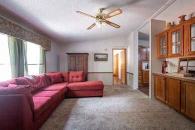 132 Alexian Ct Walnut Shade MO 65771 (11