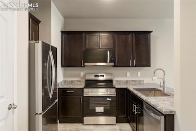 4316 Yellow Dock Point, Colorado Springs, CO 80911 - photo 5