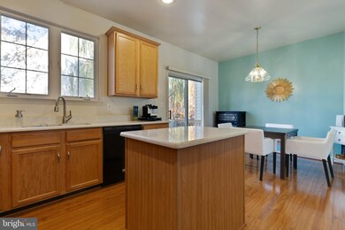 46750 Southern Oaks Terrace, Sterling, VA 20164 - photo 7