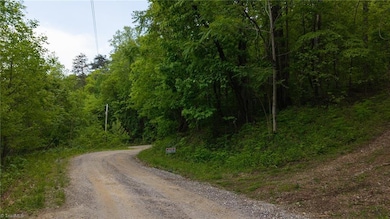 0 Cove Gap Rd unit Offering 2 1196059, Moravian Falls, NC 28654 - photo 2