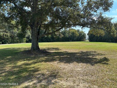 12210 Lake Breeze Dr, Erath, LA 70533 - photo 4
