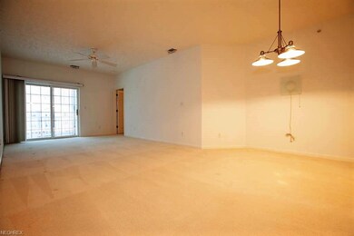 1016 Aqua Marine Blvd unit 54, Avon Lake, OH 44012 - photo 5