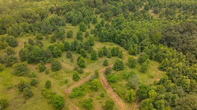 00 U S 341, Yatesville, GA 31097 - photo 6