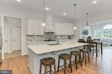 19109 Skyfield Ridge Place, Purcellville, VA 20132 - photo 7