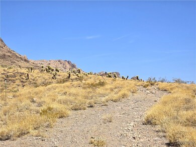 Driveway on property leading to the highest point