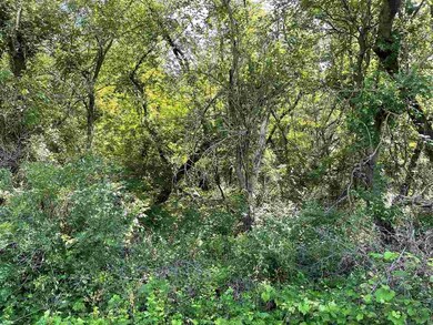 14.14 ac Smock Valley Rd, Browntown, WI 53522 - photo 6