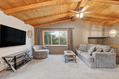 A large living room - flooded with natural light.