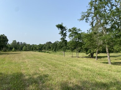 27897 Kresdorn Rd, Hockley, TX 77447 - photo 3