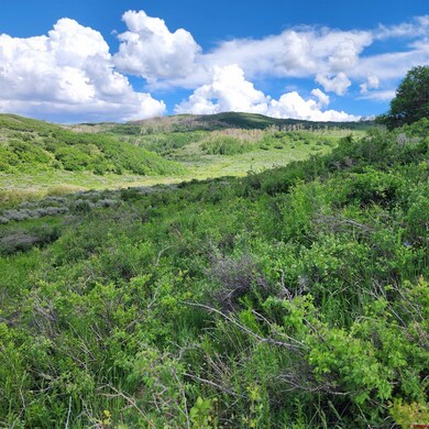 TBD Z Rd S, Whitewater, CO 81527 - photo 5