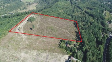 10119 Eatonville Hwy E, Eatonville, WA 98328 - photo 2