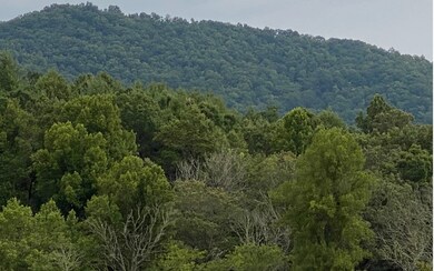 Additional View