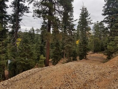 1555 Strawberry Point Rd, Duck Creek Village, UT 84762 - photo 5