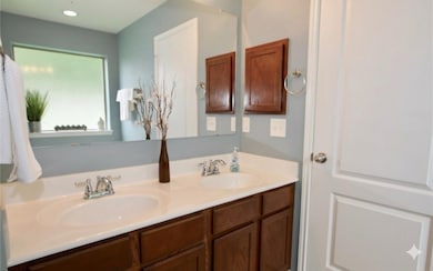 Master bathroom- Double sinks