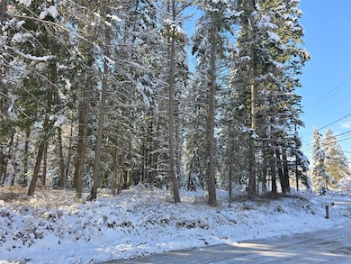 272/268 Moose Trail, Whitefish, MT 59937 - photo 3