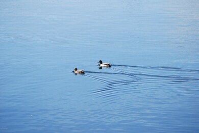 1072 E Westpoint Dr unit 3, Wasilla, AK 99654 - photo 2