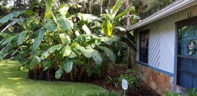 7396 Glenwood Rd, Cocoa, FL 32927 - photo 5