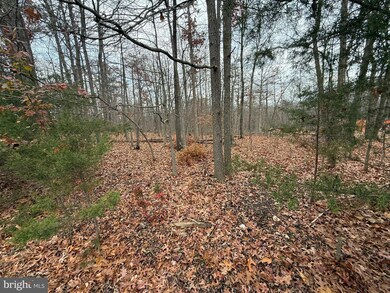 0 Hatcher Dr unit VAWR2012842, Front Royal, VA 22630 - photo 2