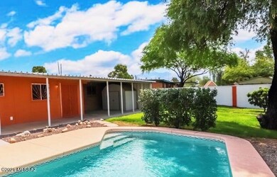 Pool & Grass Area
