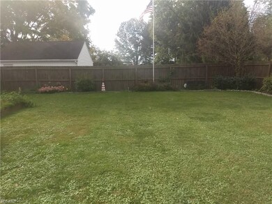 Back yard.