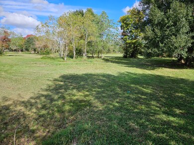 Tract 11 Megan Dr, Fairchilds, TX 77461 - photo 2