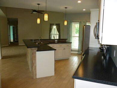 Dishwasher and microwave