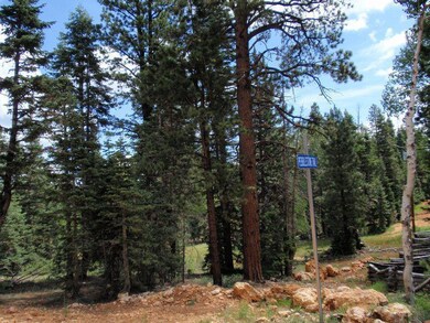 3170 N Empty Saddle Rd unit Aspen Pines Lot 3, Duck Creek Village, UT 84762 - photo 6