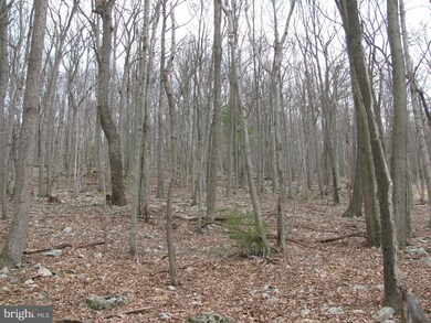 0 Settlers Valley Way unit 1000146727, Lost River, WV 26810 - photo 5